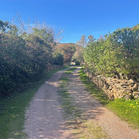 Villa Gegi Budoni Bagian luar foto