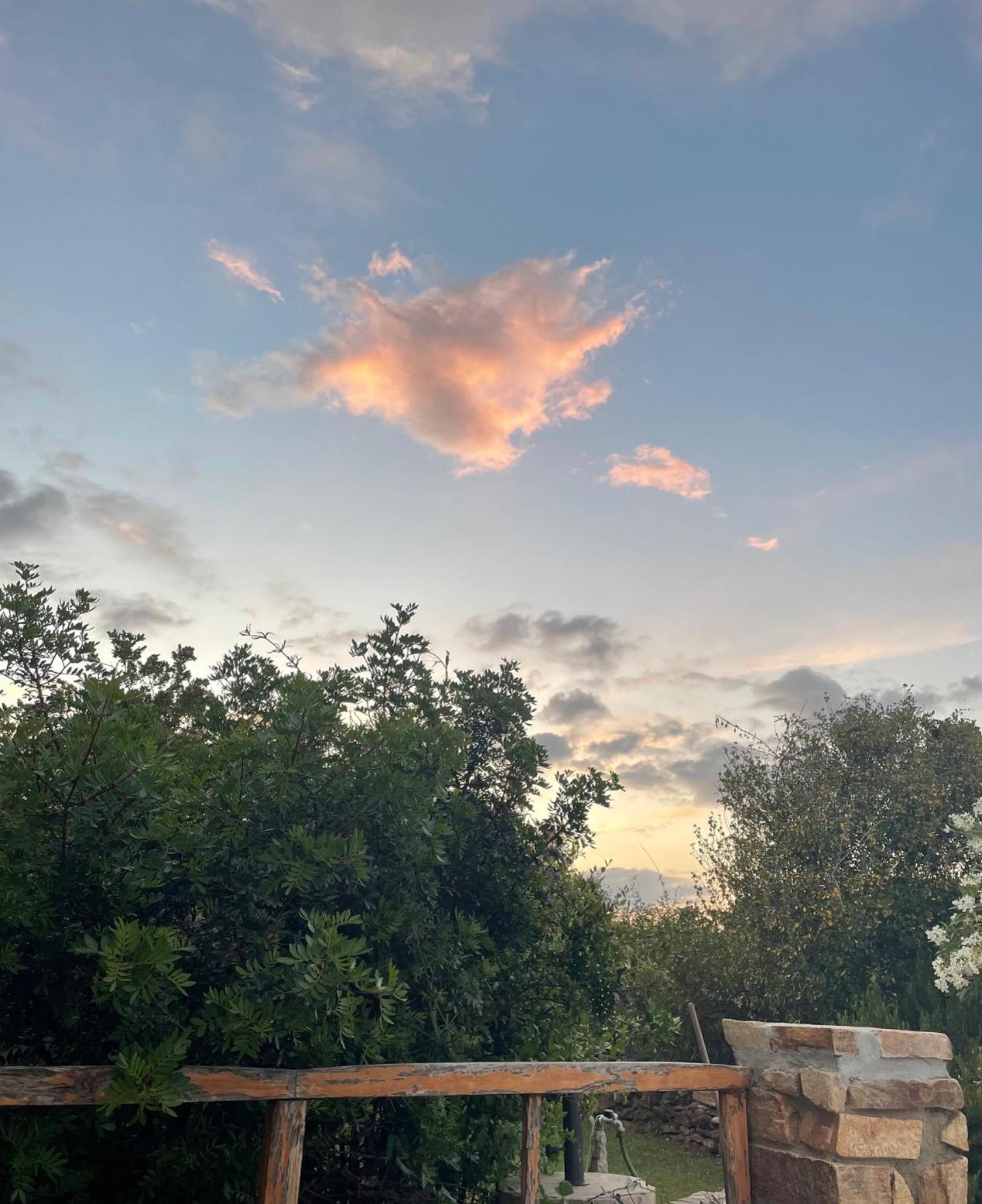 Villa Gegi Budoni Bagian luar foto