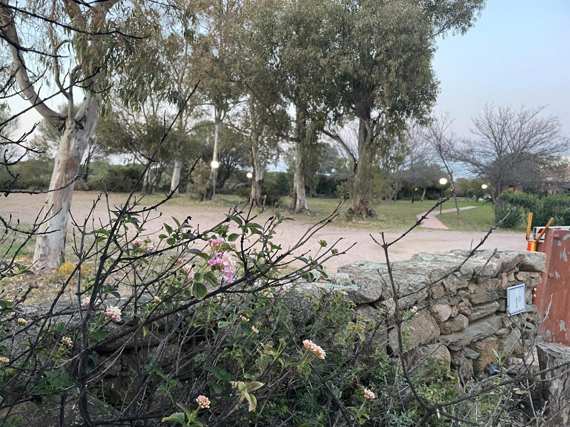 Villa Gegi Budoni Bagian luar foto