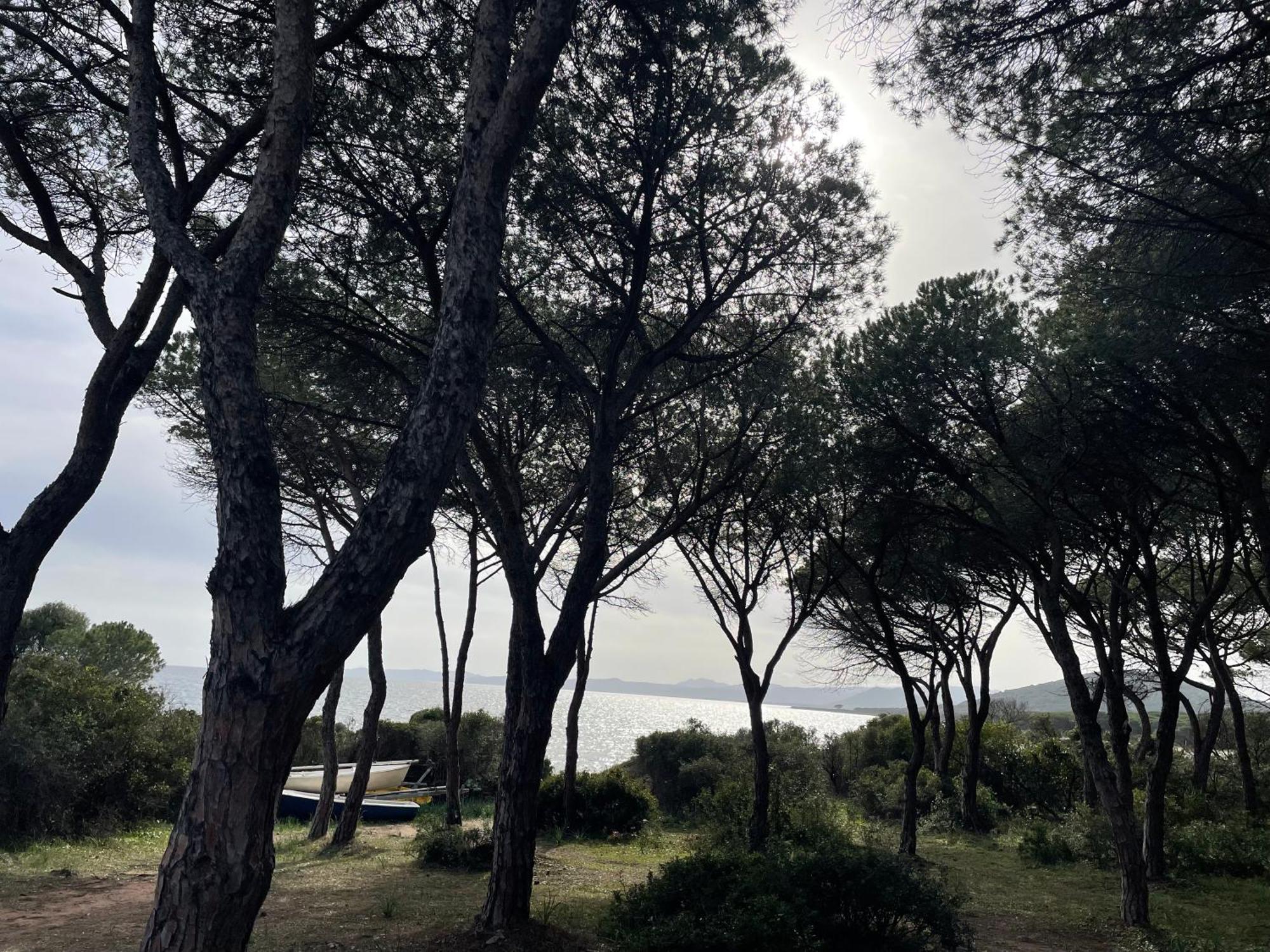 Villa Gegi Budoni Bagian luar foto